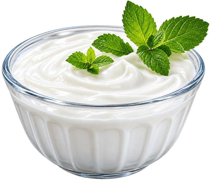 Yogurt